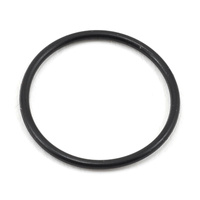 ProTek RC Samurai RM.1, RM, S03 & R03 Back Plate O-Ring