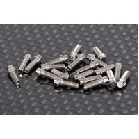 RC4WD Miniature Scale Hex Bolts (M2 x 6mm) (Silver)