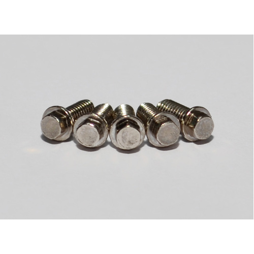 RC4WD Miniature Scale Hex Bolts (M2.5 x 6mm) (Silver)