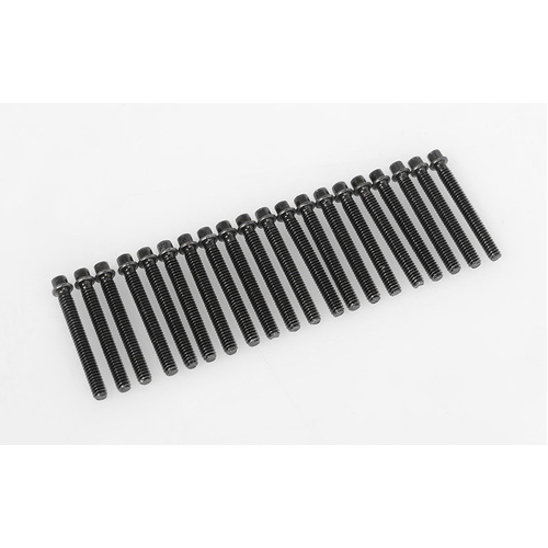 RC4WD Miniature Scale Hex Bolts (M2 x 16mm) (Black)